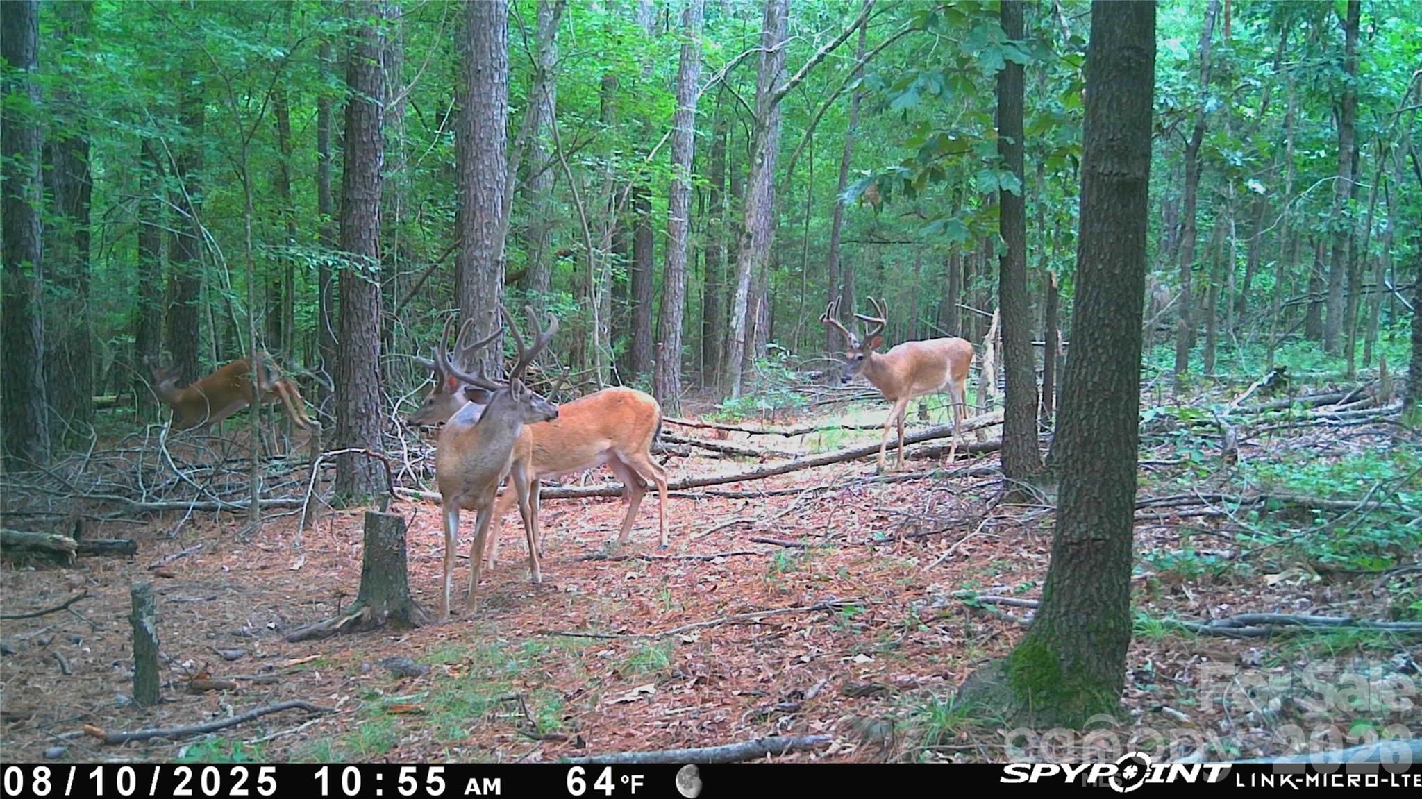 1440 Carl Taylor Road Peachland NC 28133