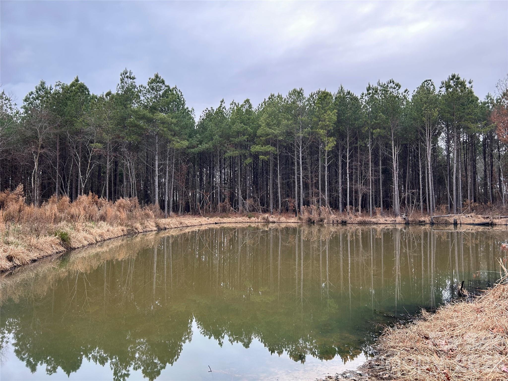 1440 Carl Taylor Road Peachland NC 28133