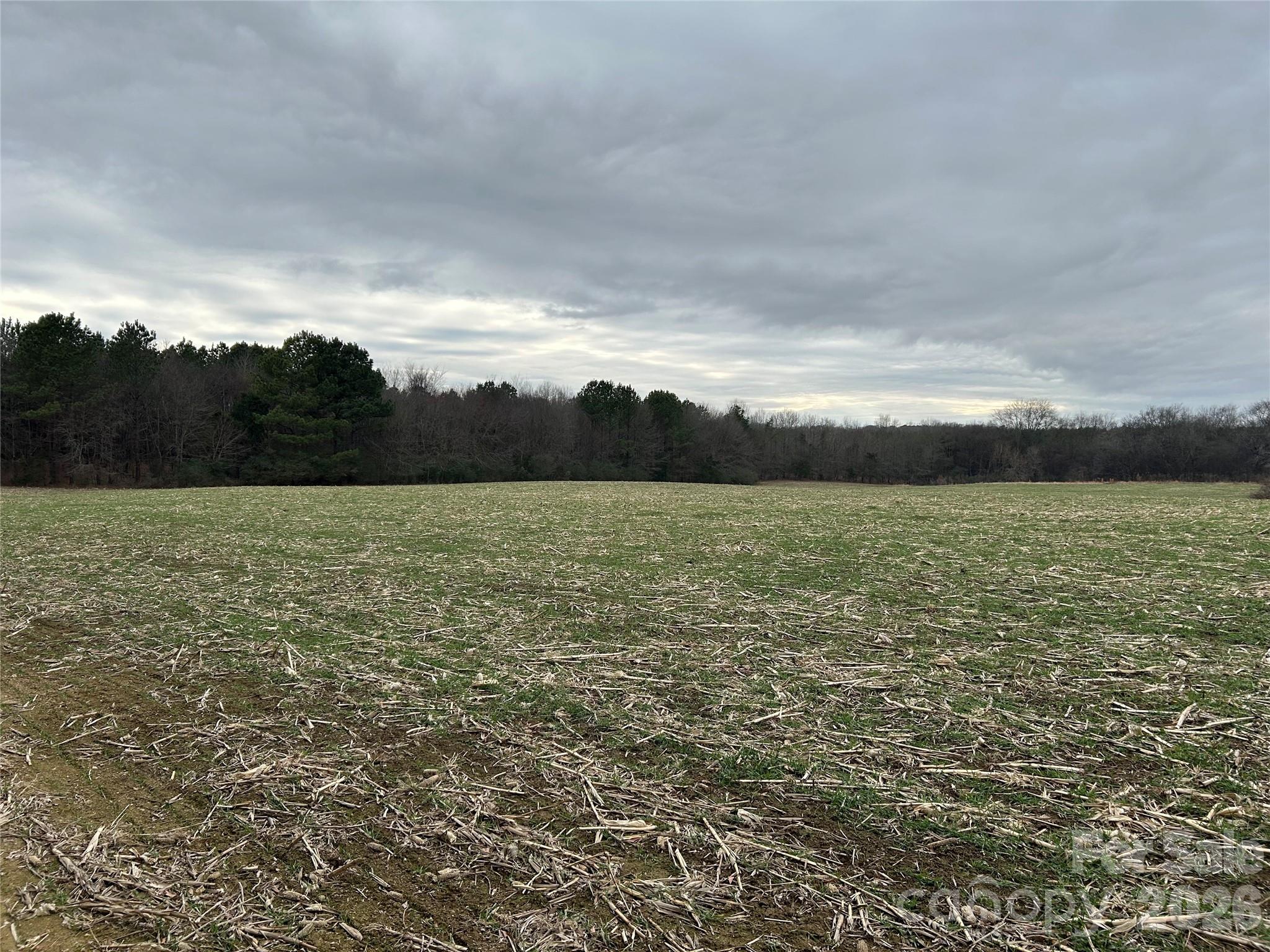 1440 Carl Taylor Road Peachland NC 28133