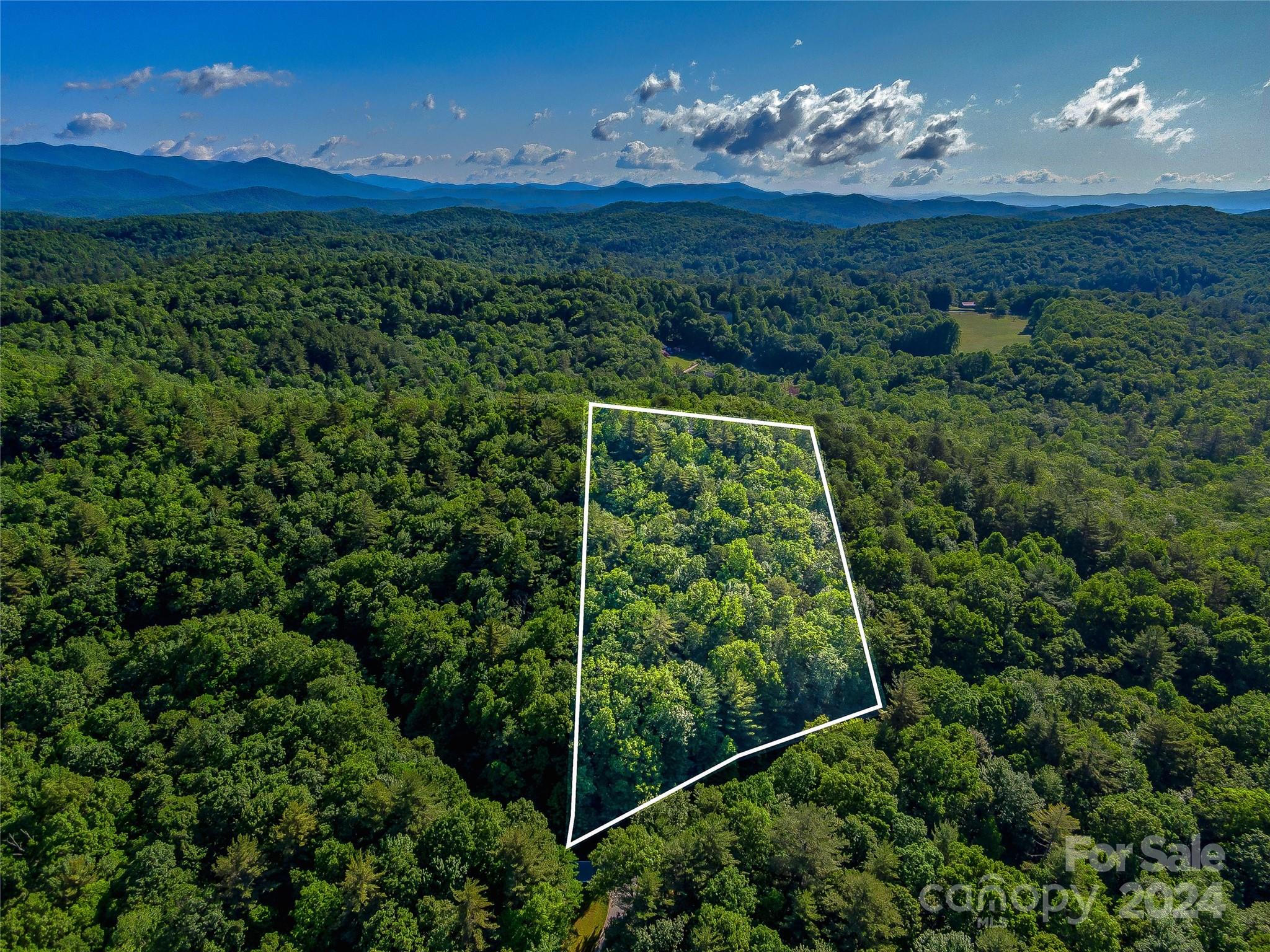 Tbd (HM 103) Hawk Mountain Road Lake Toxaway NC 28747