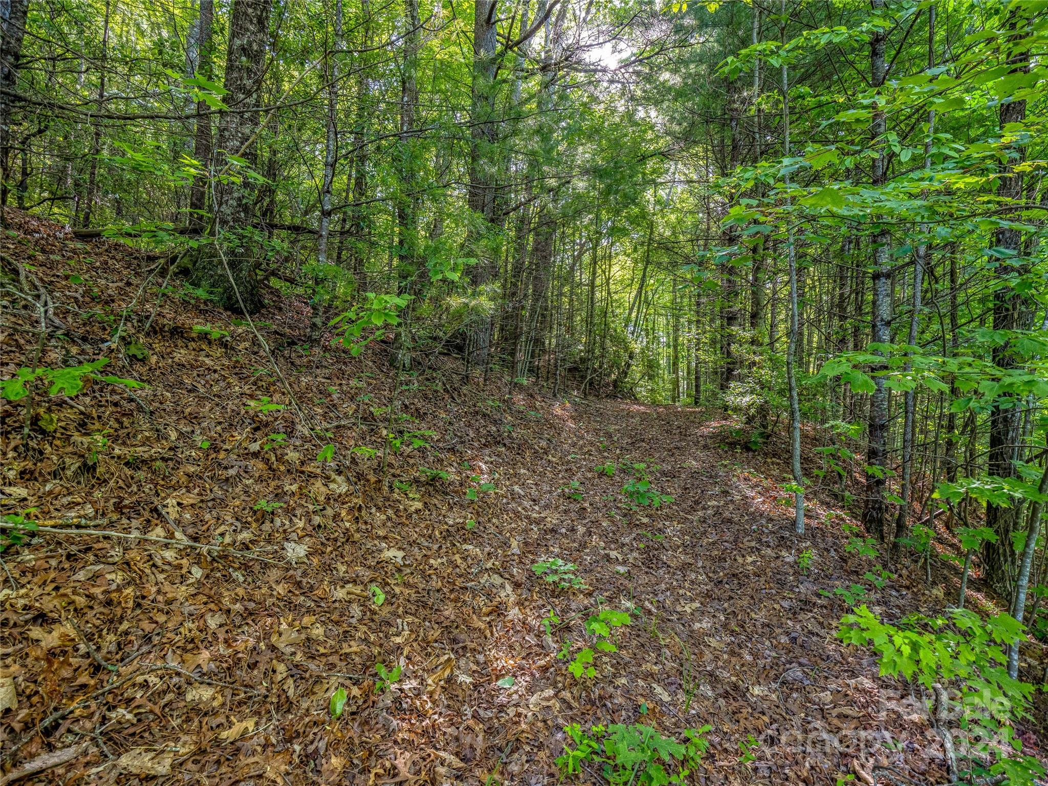 Tbd (HM 103) Hawk Mountain Road Lake Toxaway NC 28747