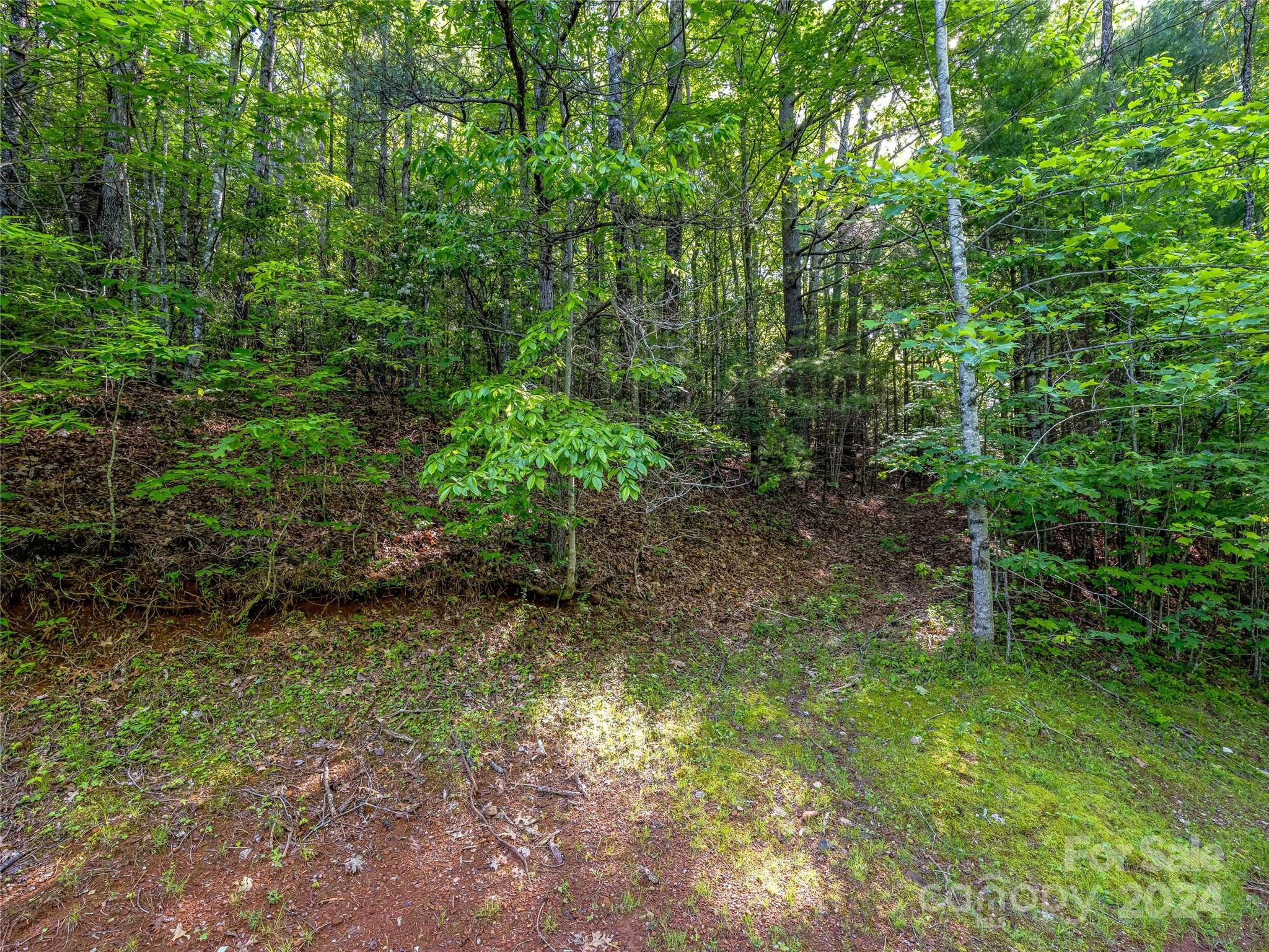 Tbd (HM 103) Hawk Mountain Road Lake Toxaway NC 28747