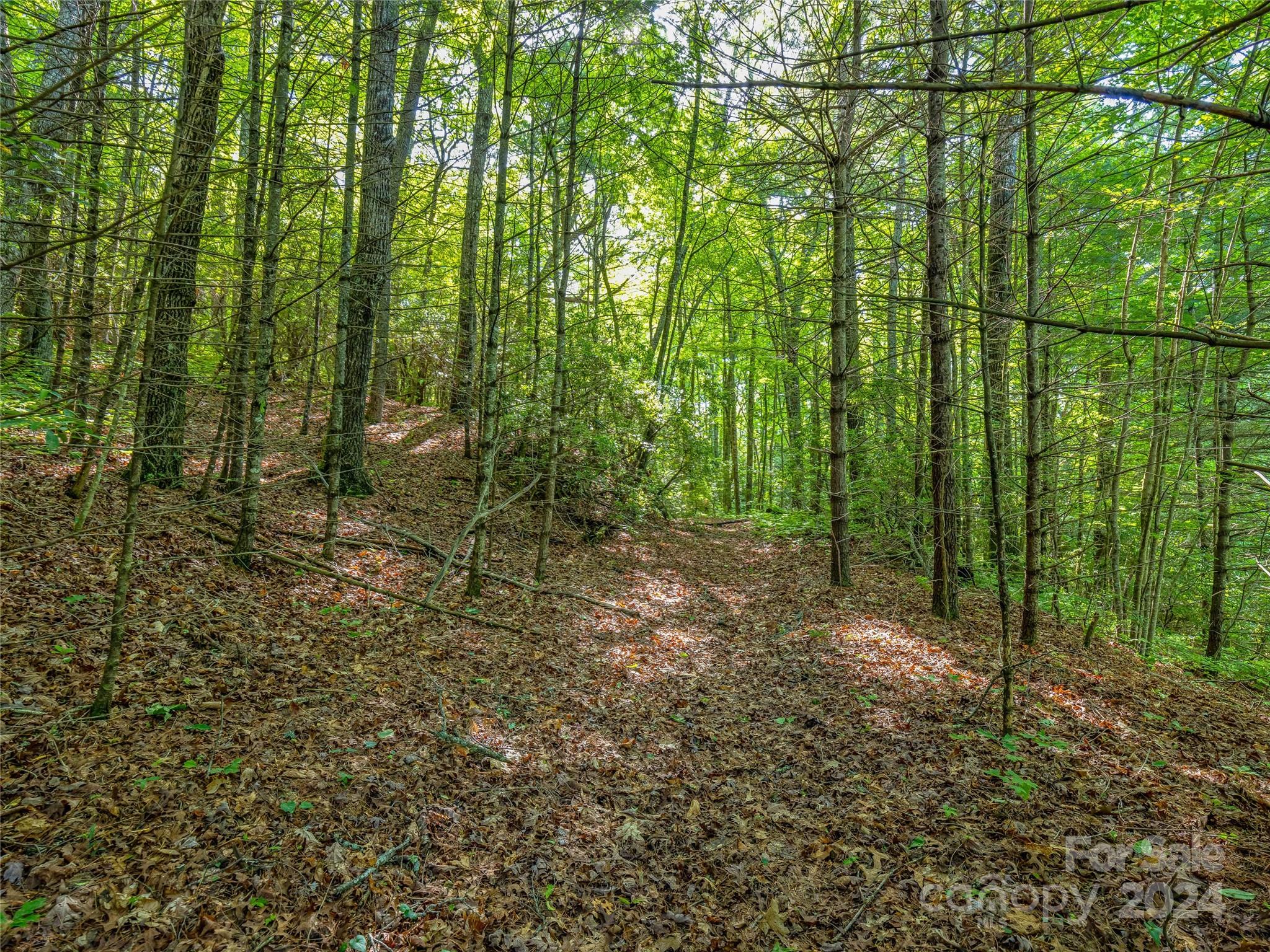 Tbd (HM 103) Hawk Mountain Road Lake Toxaway NC 28747