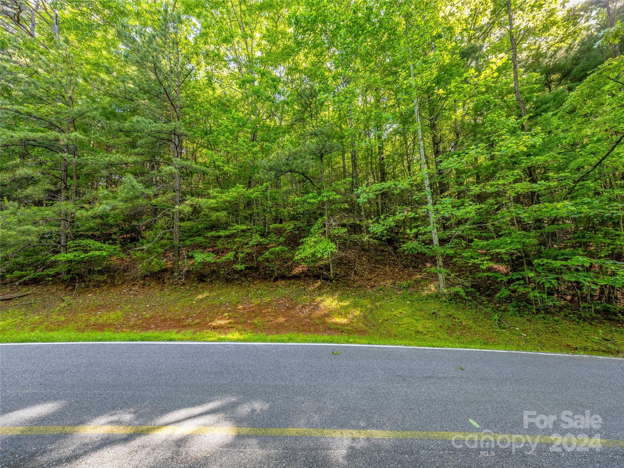 Tbd (HM 103) Hawk Mountain Road Lake Toxaway NC 28747