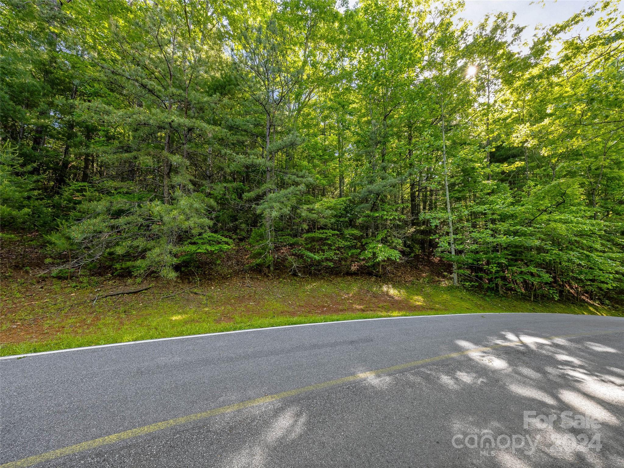 Tbd (HM 103) Hawk Mountain Road Lake Toxaway NC 28747