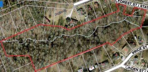 7+/- Acres Forest Street Clover SC 29710