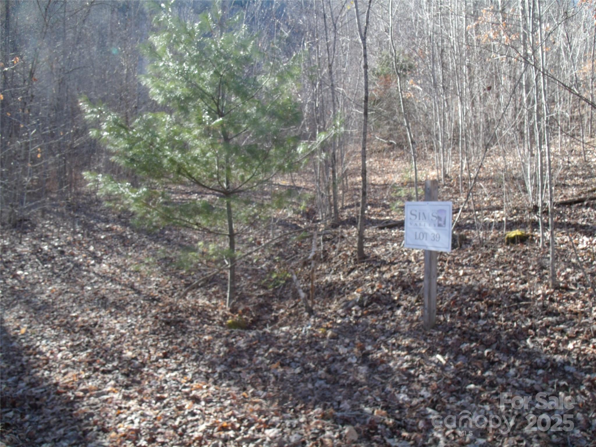 Lot 39 Sweet Spring Trail Glenville NC 28736