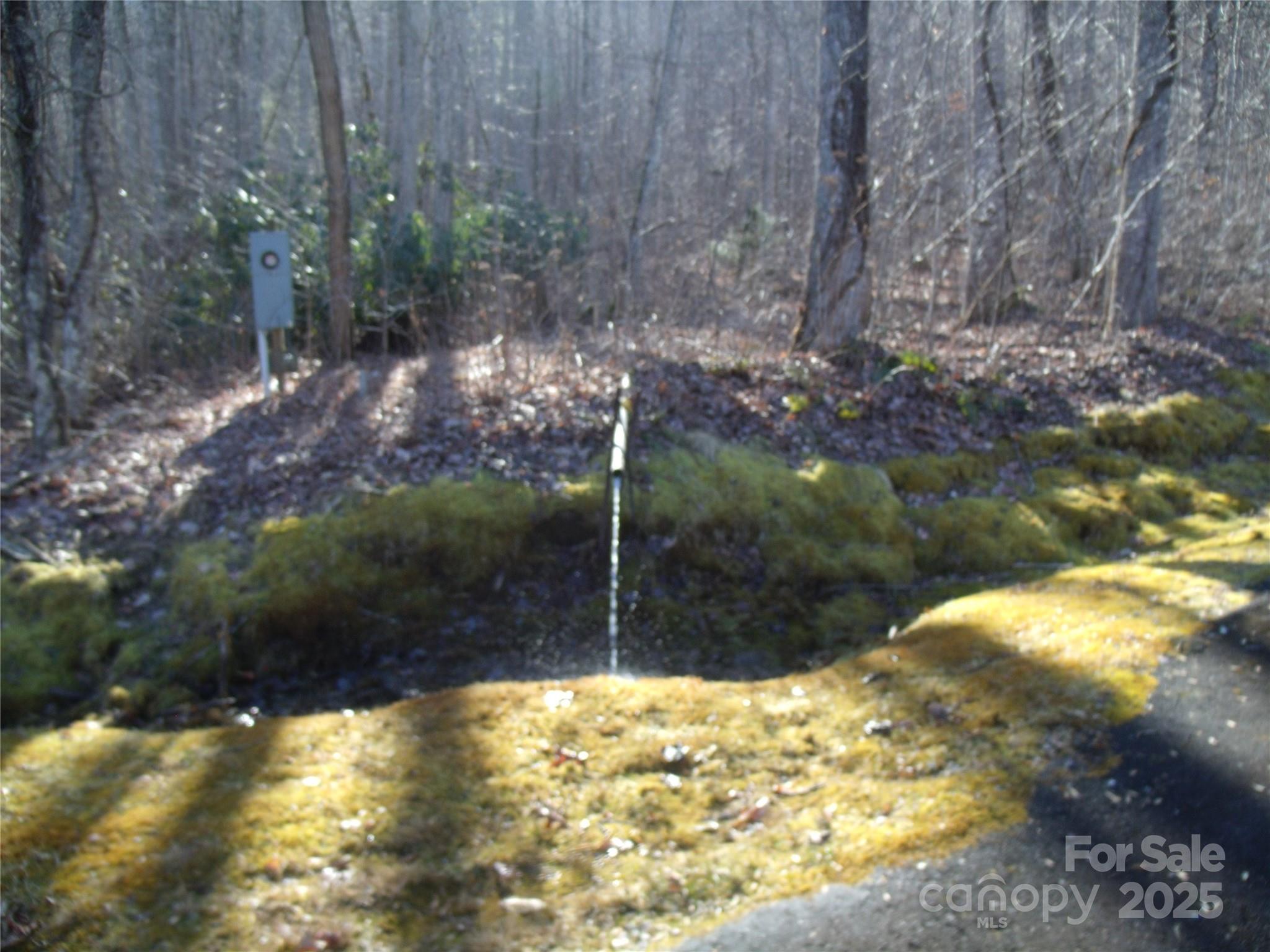 Lot 39 Sweet Spring Trail Glenville NC 28736