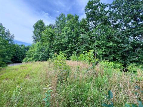 V/l Black Lark Drive Marion NC 28752