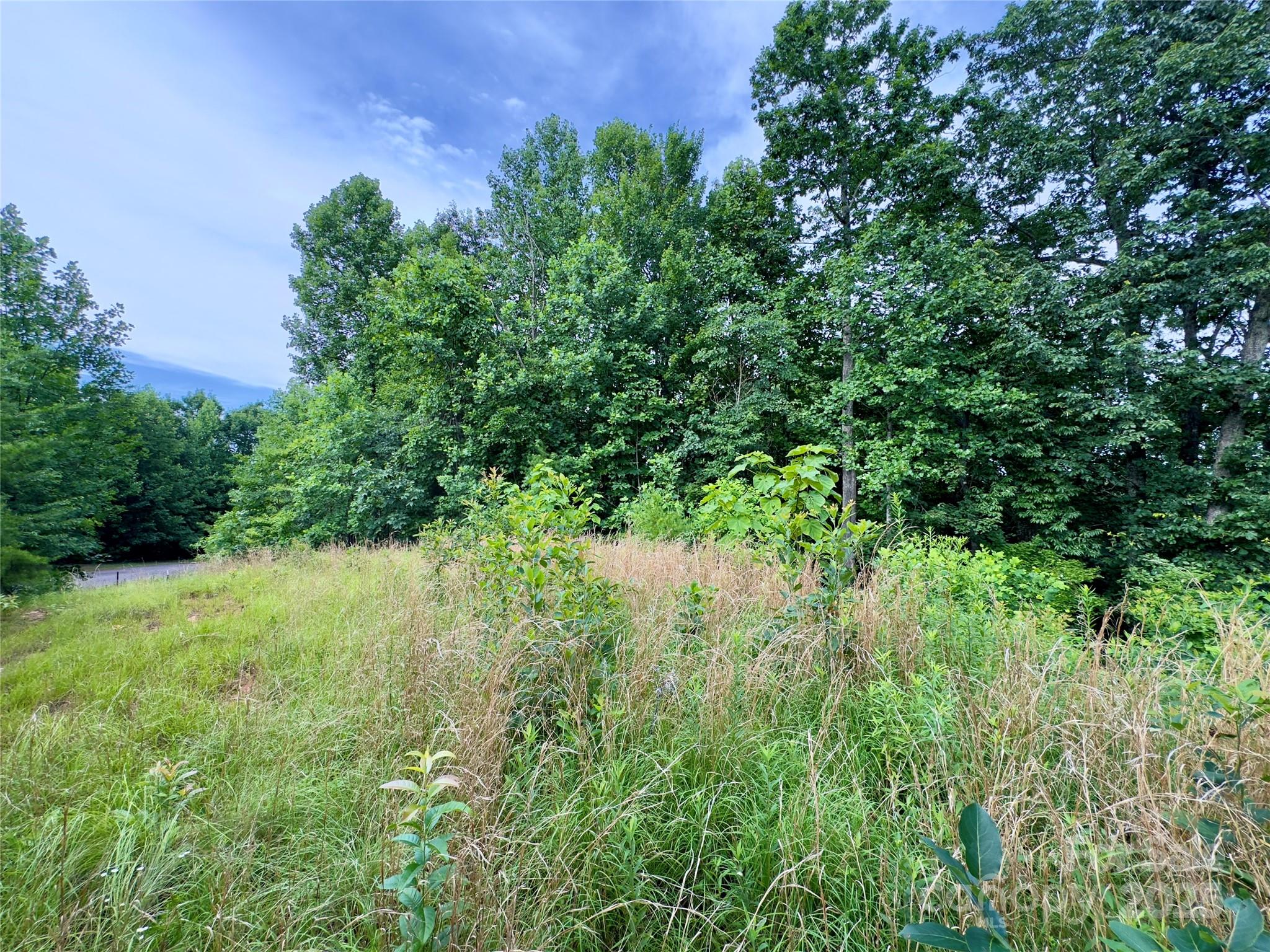 V/l Black Lark Drive Marion NC 28752