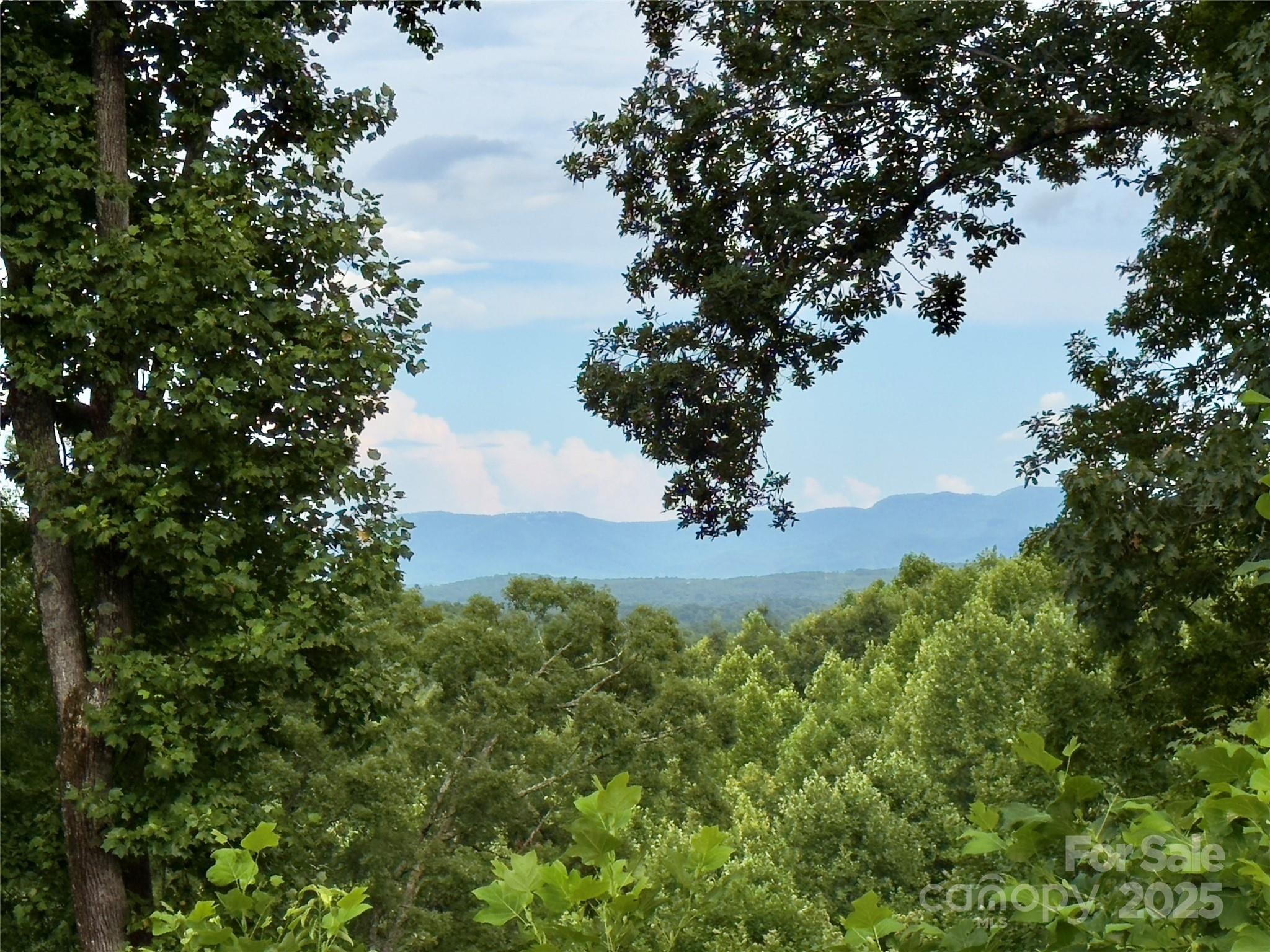 V/l Black Lark Drive Marion NC 28752