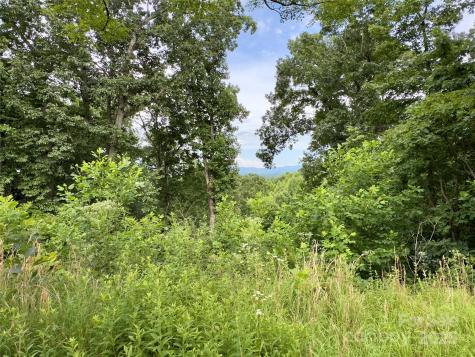 V/l Black Lark Drive Marion NC 28752