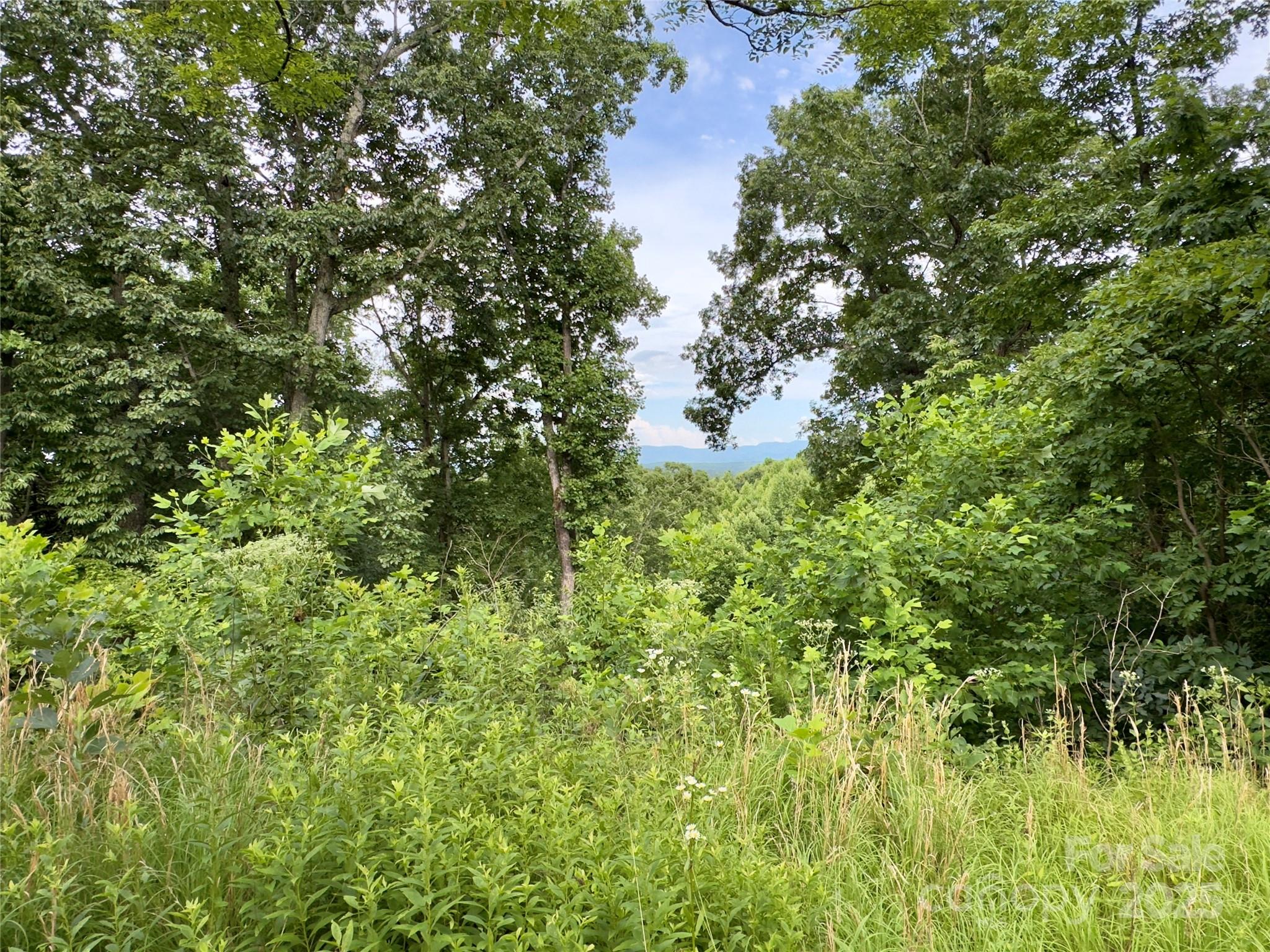 V/l Black Lark Drive Marion NC 28752