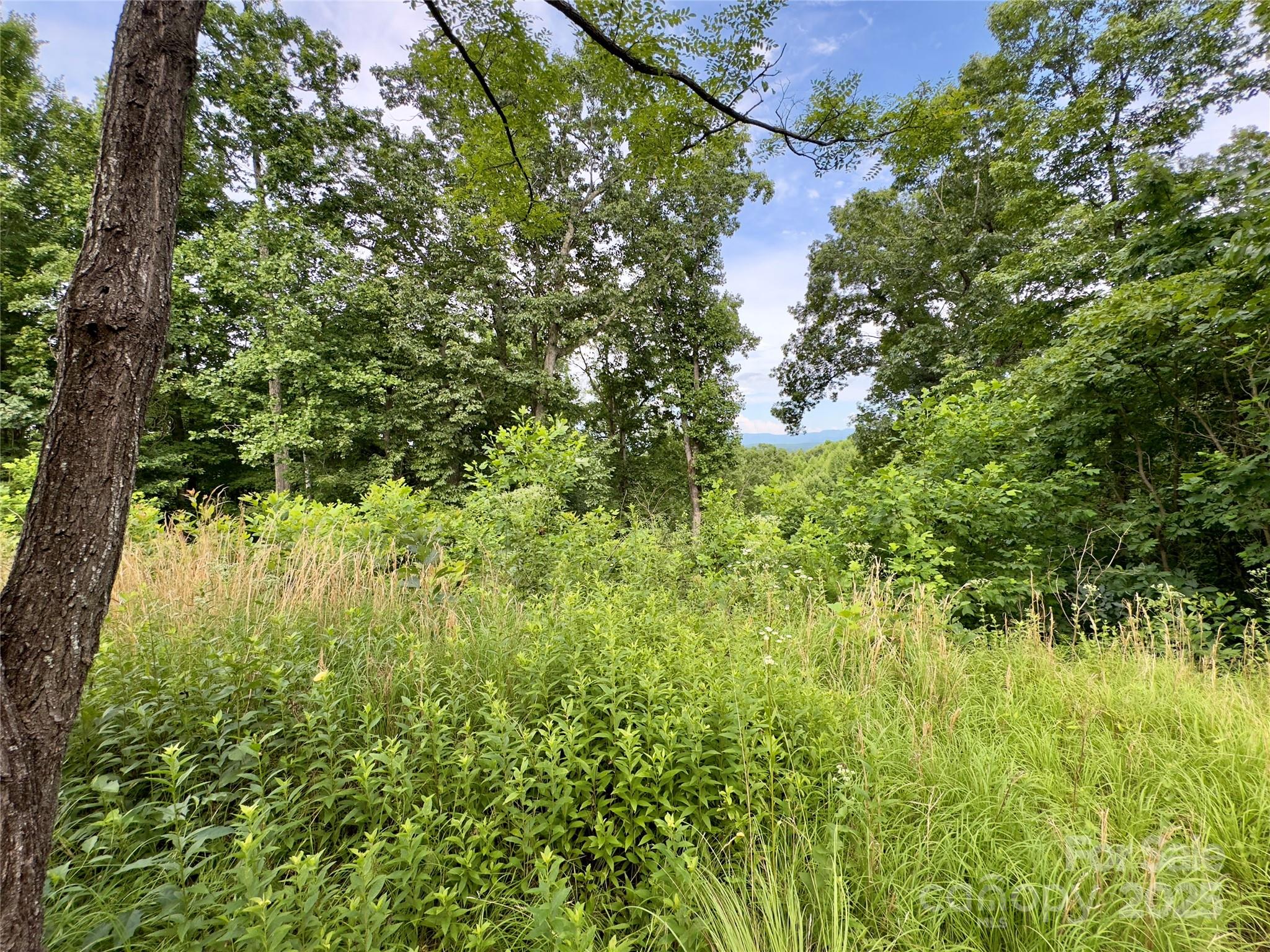 V/l Black Lark Drive Marion NC 28752