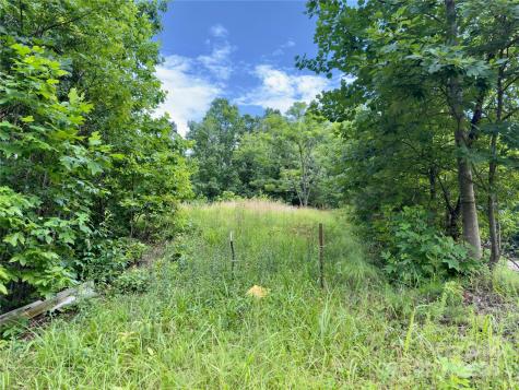 V/l Black Lark Drive Marion NC 28752
