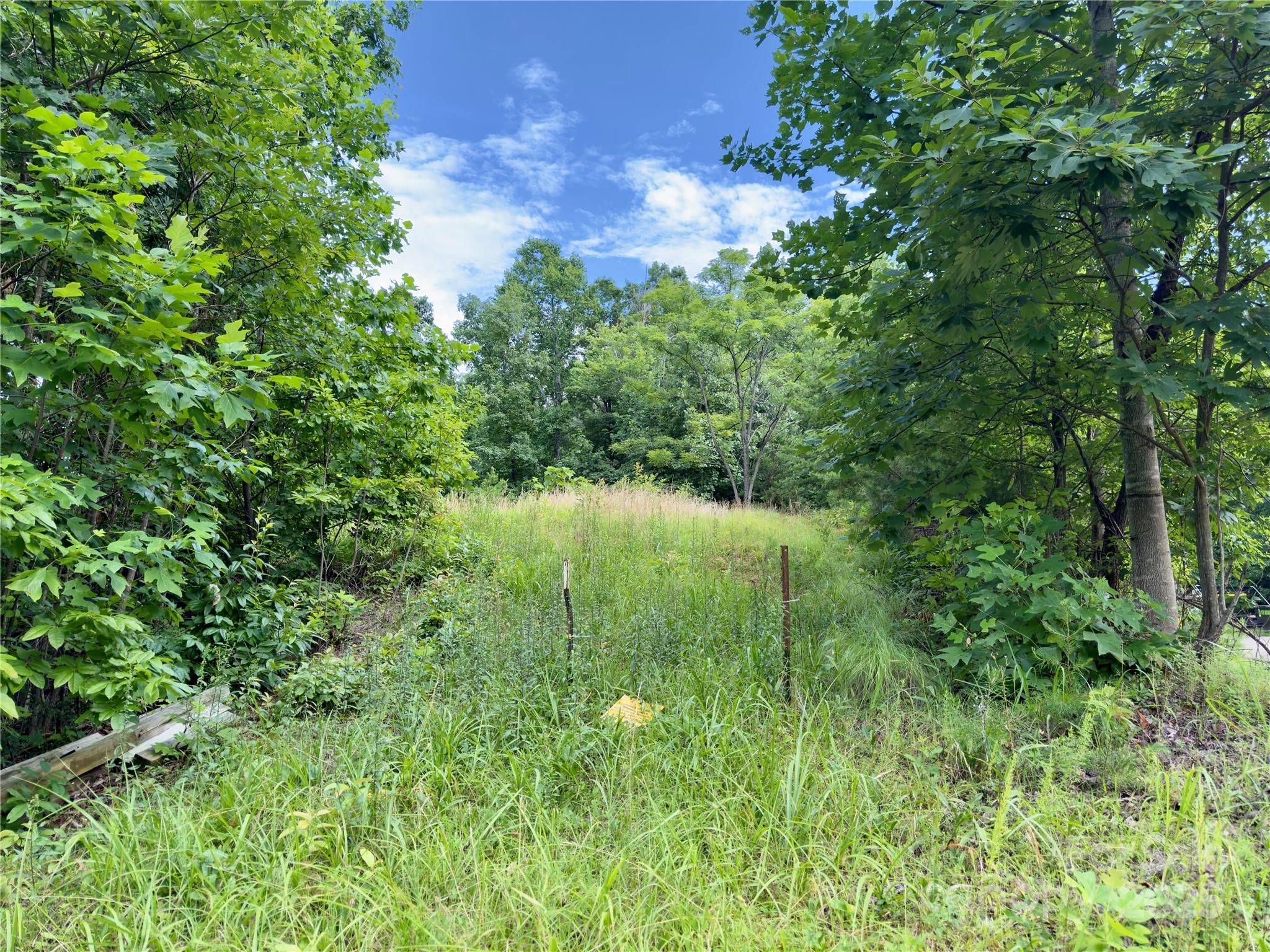 V/l Black Lark Drive Marion NC 28752