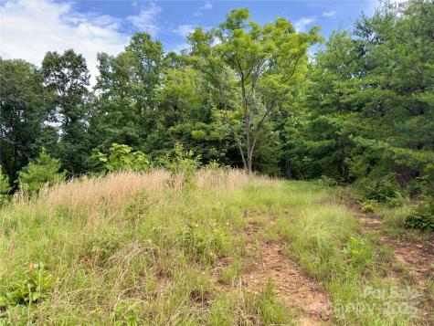 V/l Black Lark Drive Marion NC 28752
