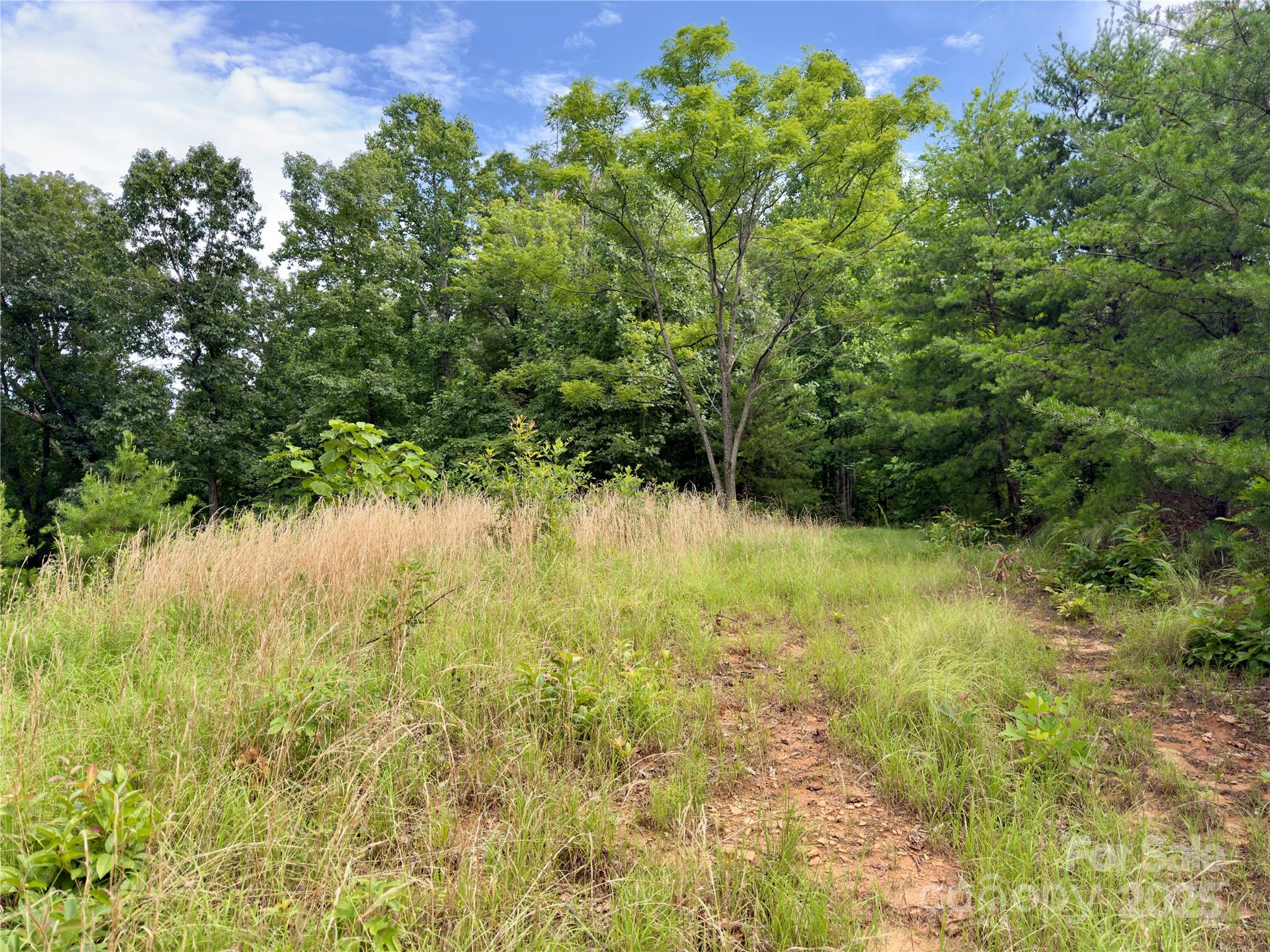 V/l Black Lark Drive Marion NC 28752