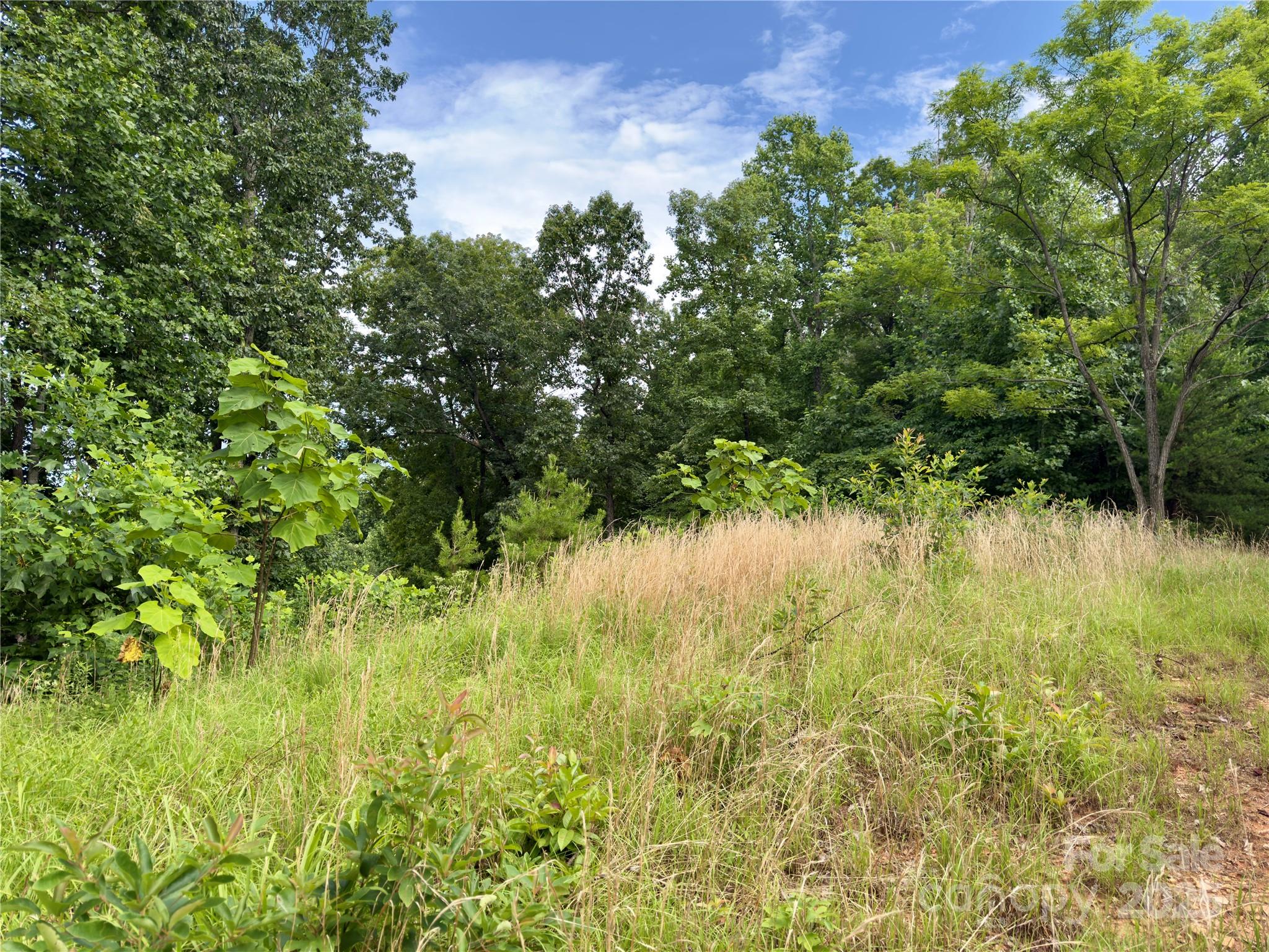 V/l Black Lark Drive Marion NC 28752