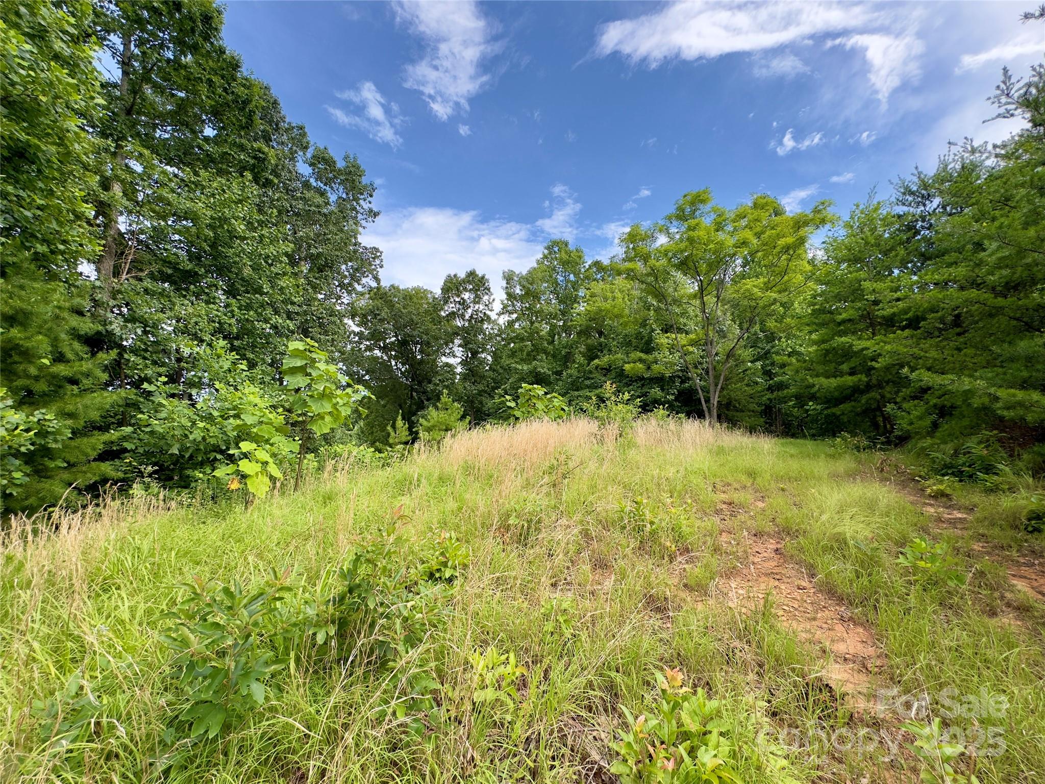 V/l Black Lark Drive Marion NC 28752