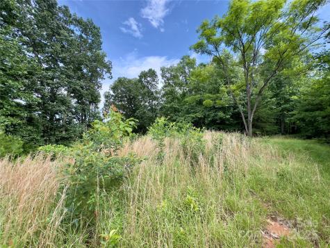 V/l Black Lark Drive Marion NC 28752