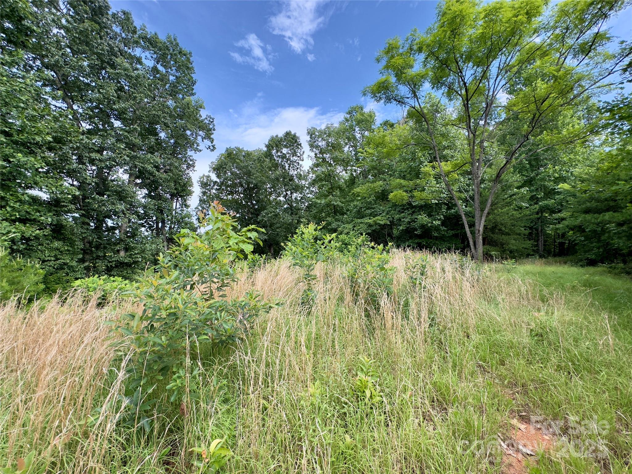 V/l Black Lark Drive Marion NC 28752
