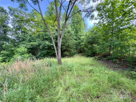 V/l Black Lark Drive Marion NC 28752