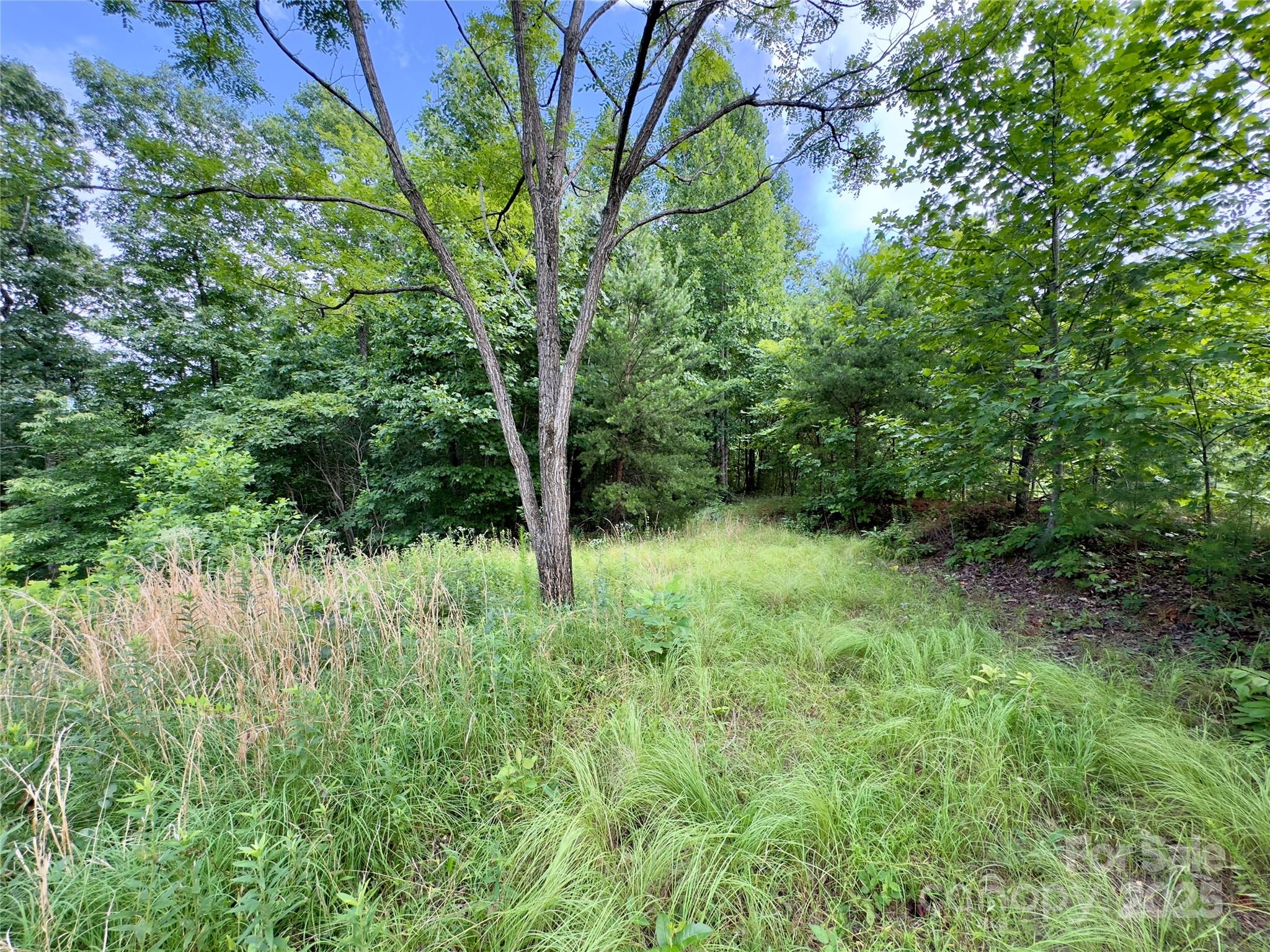 V/l Black Lark Drive Marion NC 28752