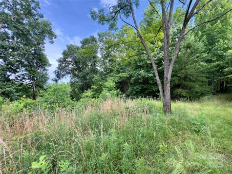 V/l Black Lark Drive Marion NC 28752