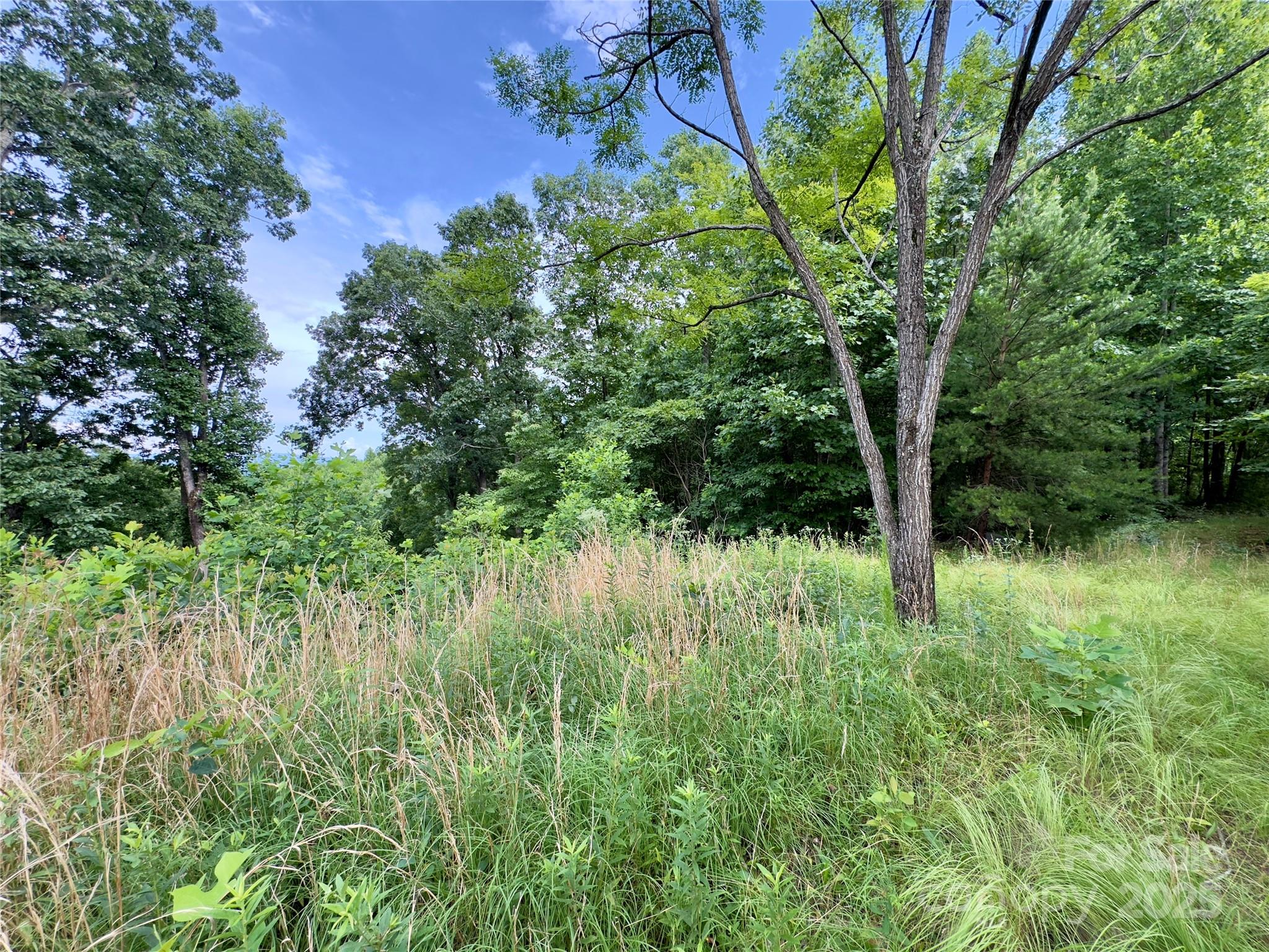 V/l Black Lark Drive Marion NC 28752