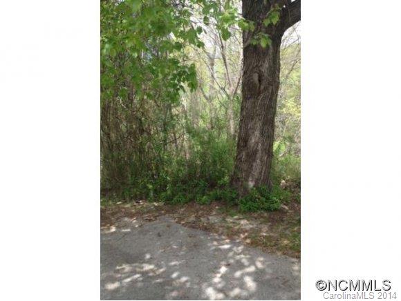 41 Plemmons Street Asheville NC 28806