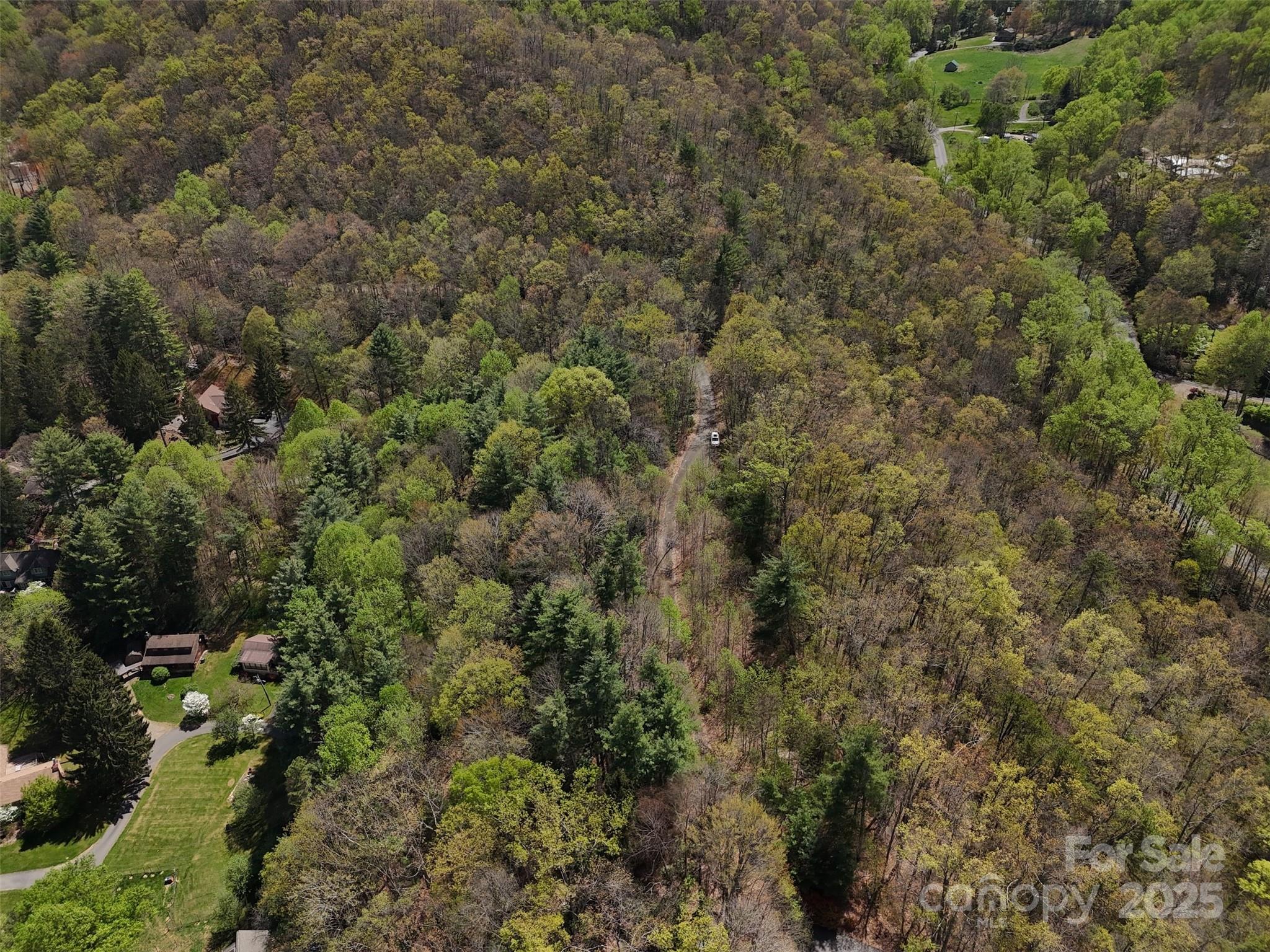 Tbd (D) Chestnut Walk Drive Waynesville NC 28786