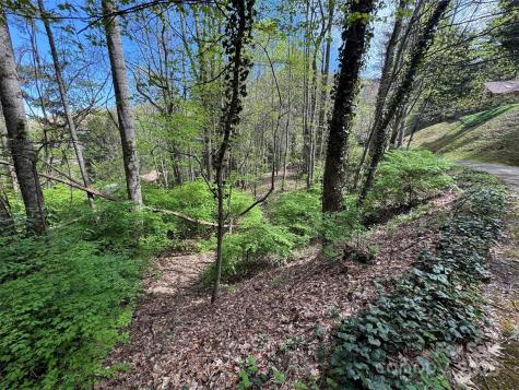 Tbd (D) Chestnut Walk Drive Waynesville NC 28786