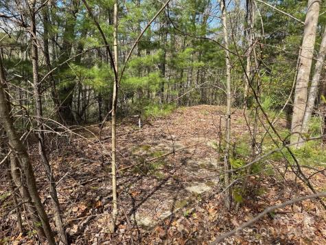 Tbd (D) Chestnut Walk Drive Waynesville NC 28786