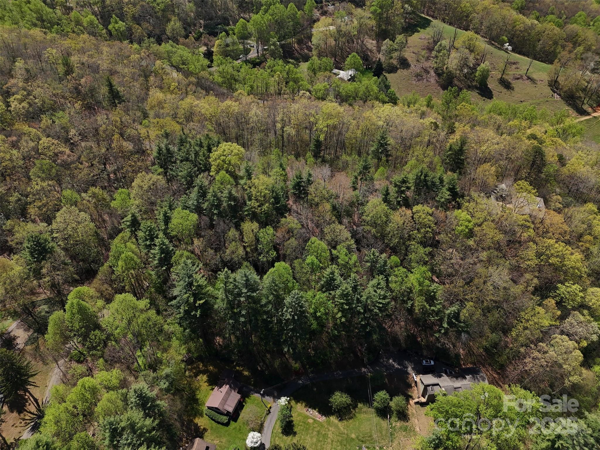 Tbd (D) Chestnut Walk Drive Waynesville NC 28786