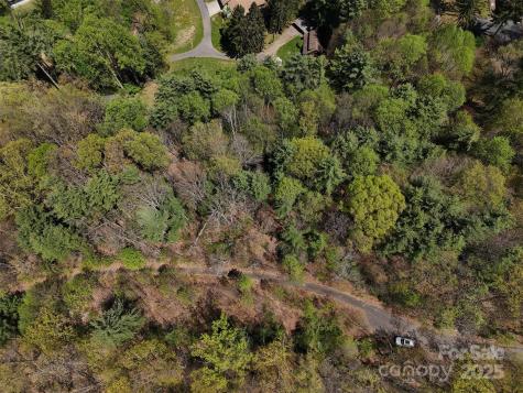 Tbd (D) Chestnut Walk Drive Waynesville NC 28786