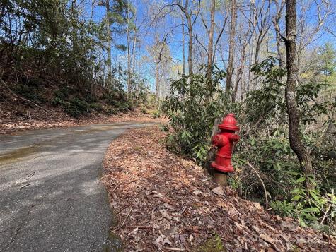 Tbd (D) Chestnut Walk Drive Waynesville NC 28786