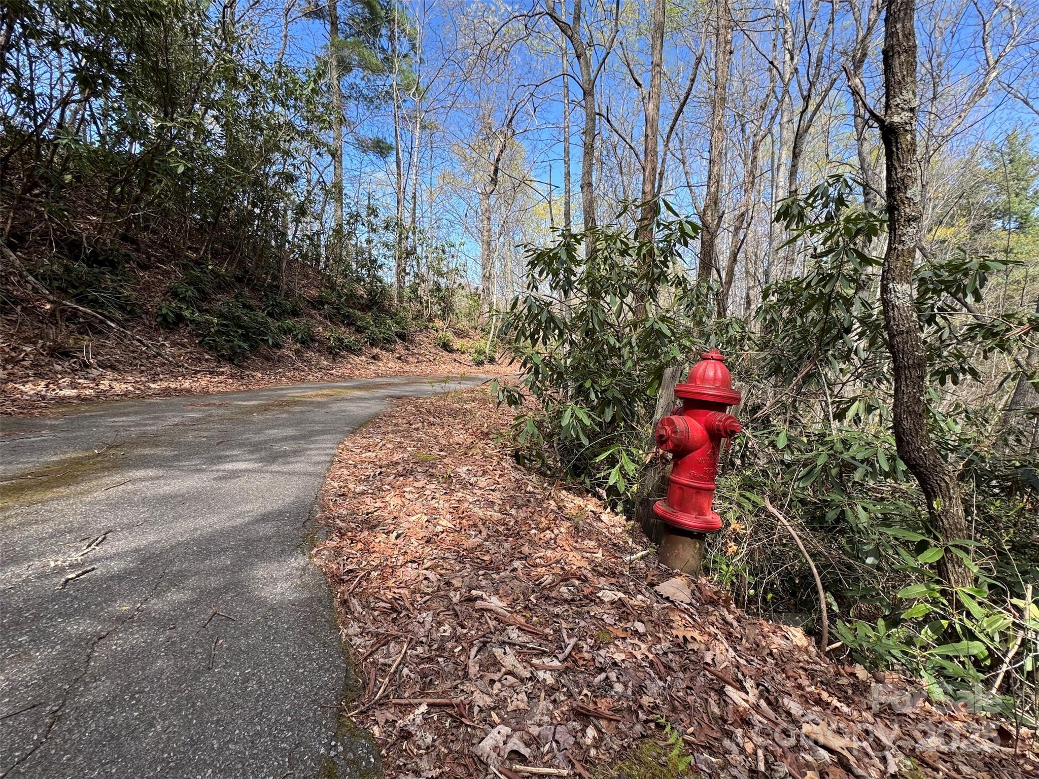 Tbd (D) Chestnut Walk Drive Waynesville NC 28786