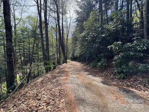 Tbd (D) Chestnut Walk Drive Waynesville NC 28786