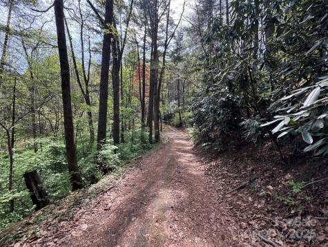 Tbd (D) Chestnut Walk Drive Waynesville NC 28786