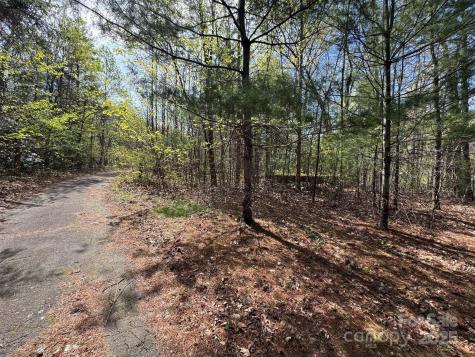 Tbd (D) Chestnut Walk Drive Waynesville NC 28786