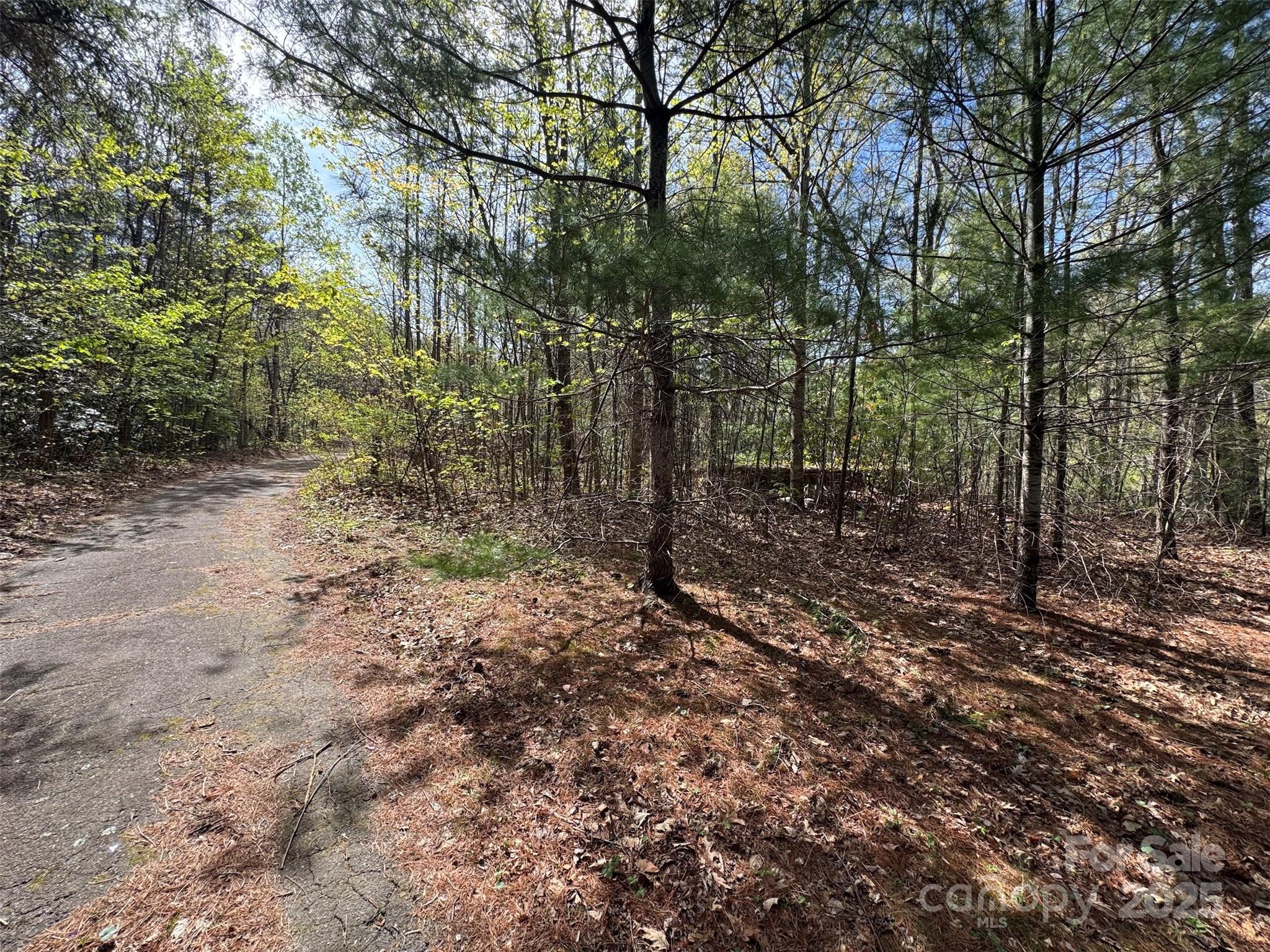Tbd (D) Chestnut Walk Drive Waynesville NC 28786