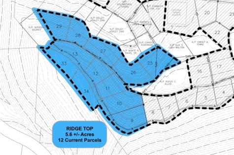 Tbd (D) Chestnut Walk Drive Waynesville NC 28786