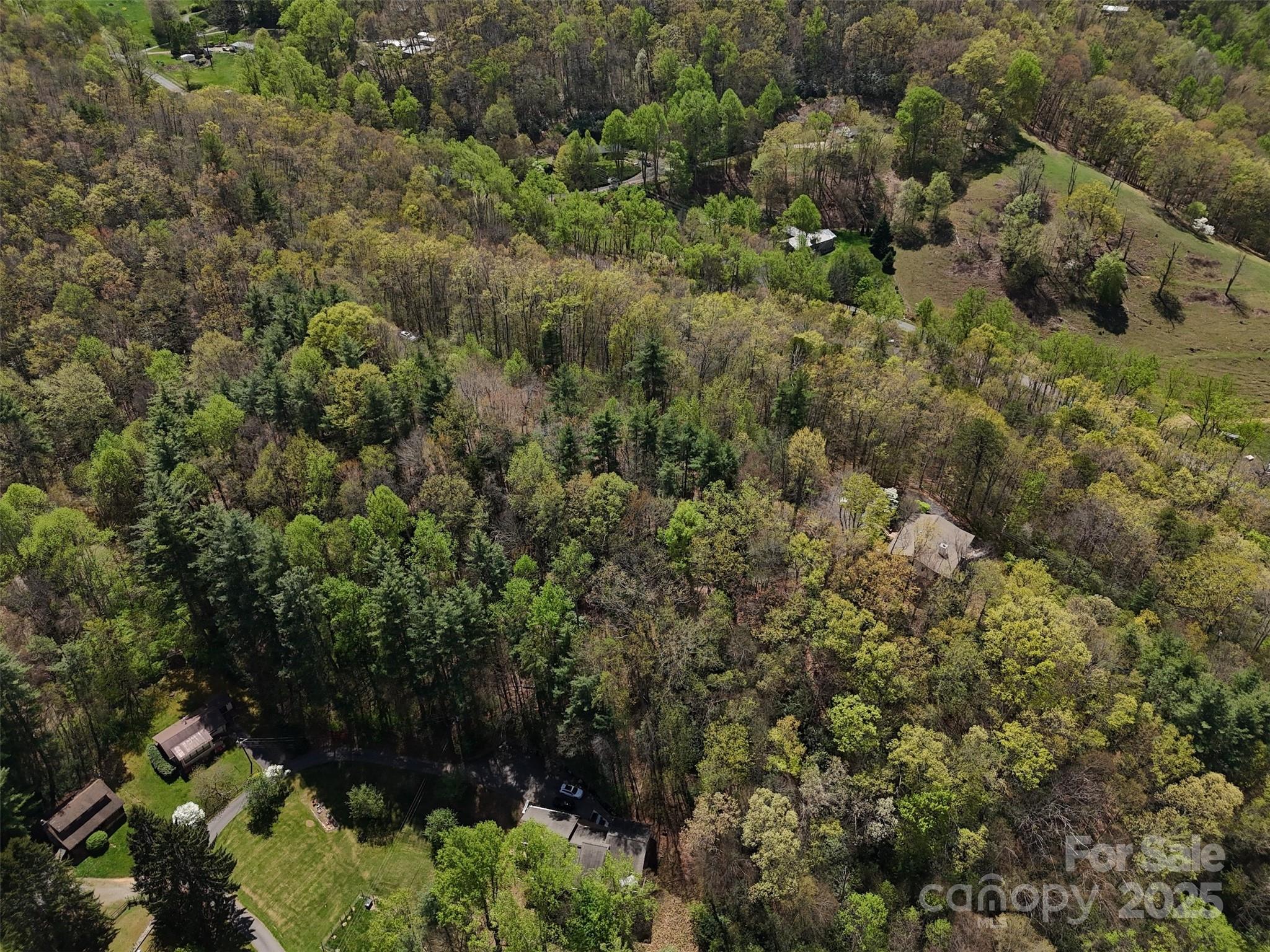 Tbd (D) Chestnut Walk Drive Waynesville NC 28786