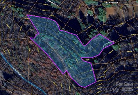 Tbd (D) Chestnut Walk Drive Waynesville NC 28786