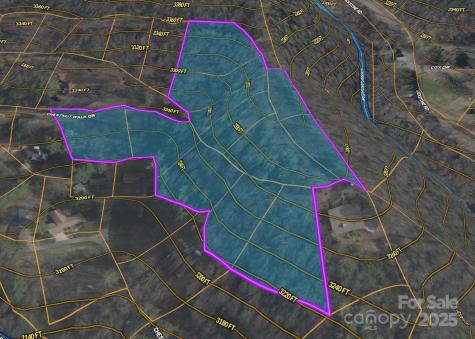 Tbd (D) Chestnut Walk Drive Waynesville NC 28786