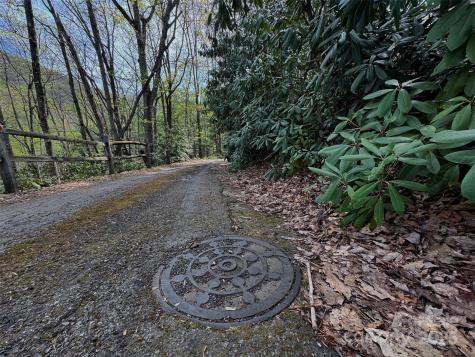 Tbd (D) Chestnut Walk Drive Waynesville NC 28786