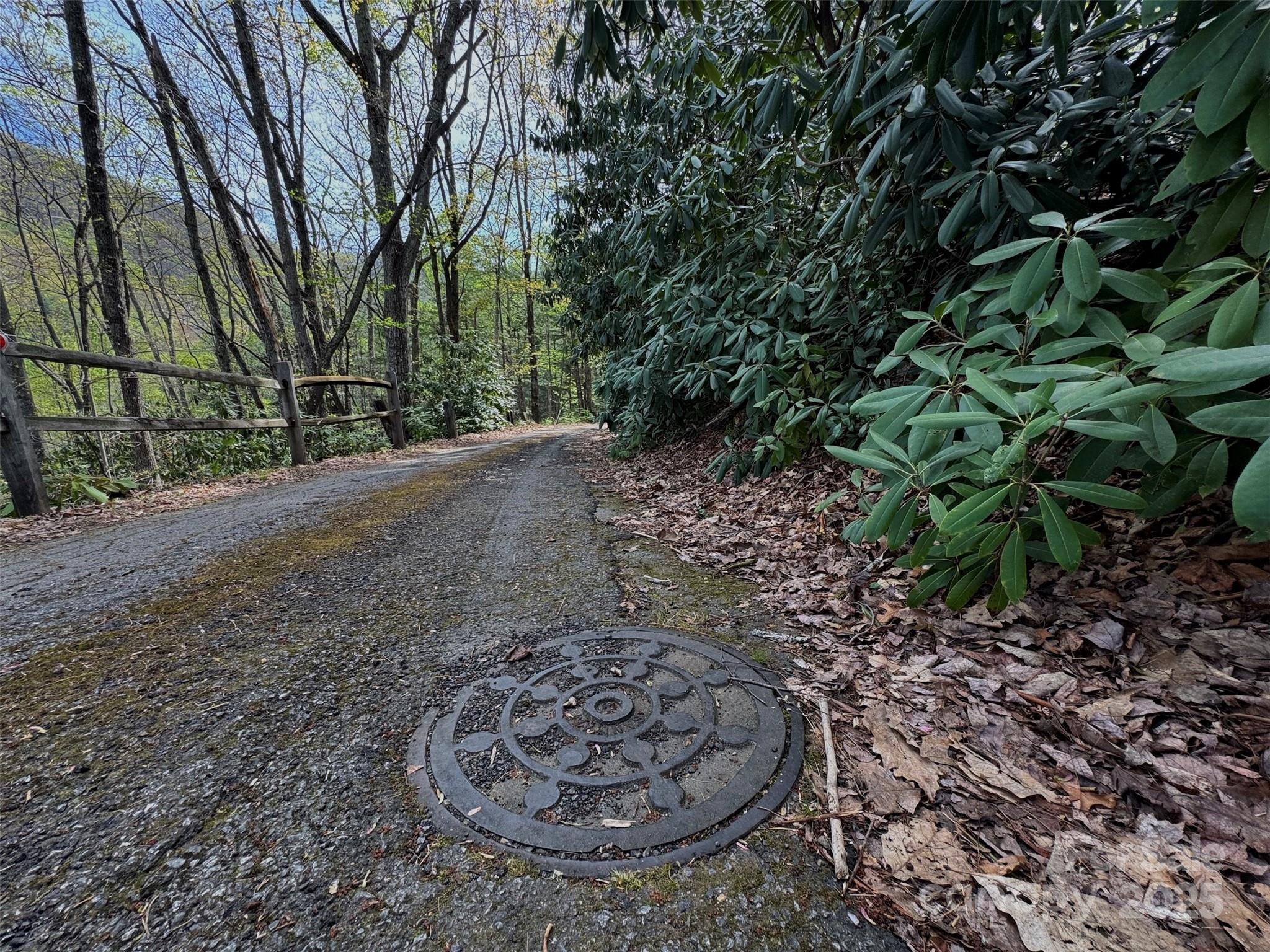 Tbd (D) Chestnut Walk Drive Waynesville NC 28786