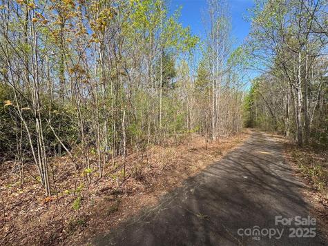 Tbd (D) Chestnut Walk Drive Waynesville NC 28786