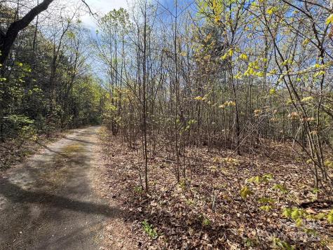 Tbd (D) Chestnut Walk Drive Waynesville NC 28786